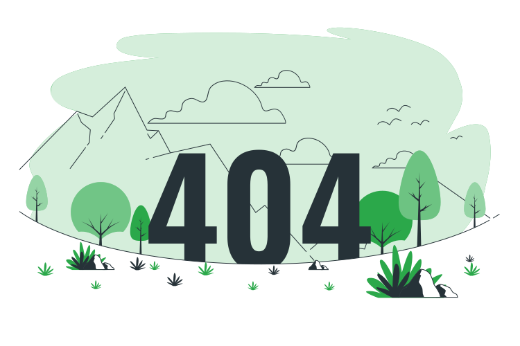 404 error image